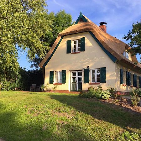 Ferienhaus Preetz 1A - Idylle Unter Reet Burtevitz Eksteriør bilde