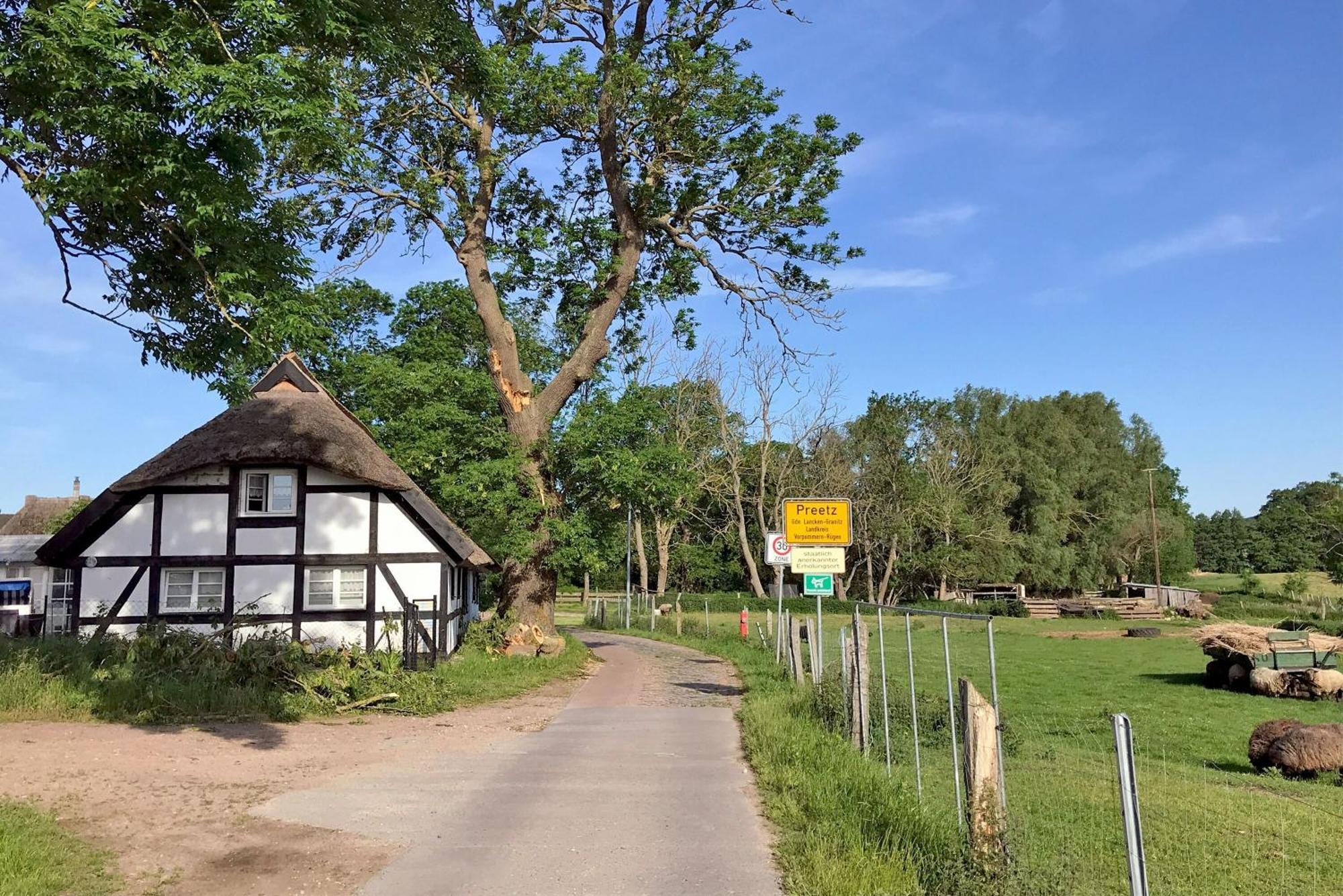 Ferienhaus Preetz 1A - Idylle Unter Reet Burtevitz Eksteriør bilde